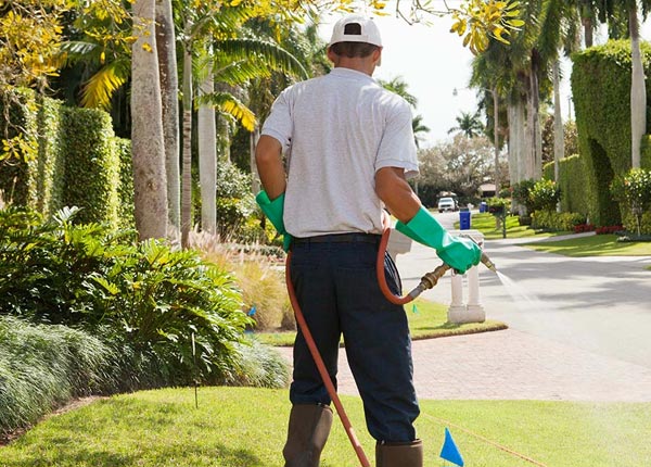 About Larned KS Pest Control
